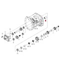 Wellenverbinder 13T 1560-220-004-10 36 x 65 mm Iseki SCMA48 SCMA54 Iseki TG6XX5