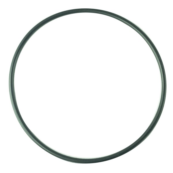 Joint torique 94,40 x 3,1 mm / S802095010 / Ls Tracteur n° 40029231