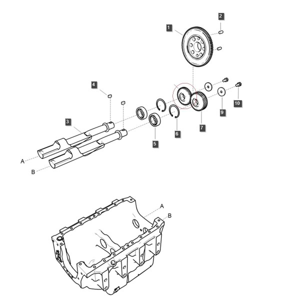Ausgleichswellenkettenrad (rechts) / EGQ146 / Ls Traktor 40009298
