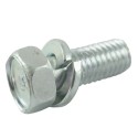 Screw M8 x 1.25 x 20 / LS XJ25 / LS MT1.25 / LS MT3.35 / LS MT3.40 / LS MT3.50 / LS MT3.60 / S153082033 / 40028921