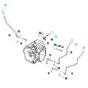 Shaft spring ball / LS XJ25 / LS MT1.25 / A067A006 / no. 40012756