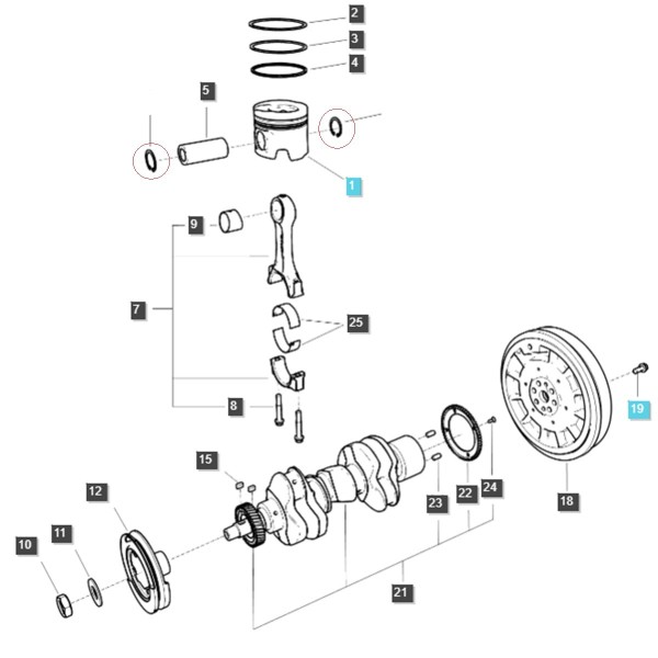 Pierścień segera / LS MT3.35 / LS MT3.40 / LS MT3.50 / LS MT3.60 / nr 40265558