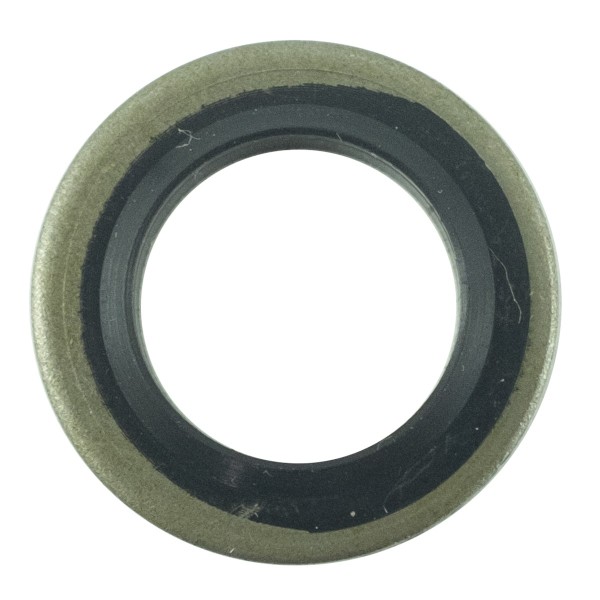 Arandela de sellado M10 / LS XJ25 / LS MT1.25 / LS MT3.35 / LS MT3.40 / LS MT3.50 / LS MT3.60 / A0667010 / 40188670