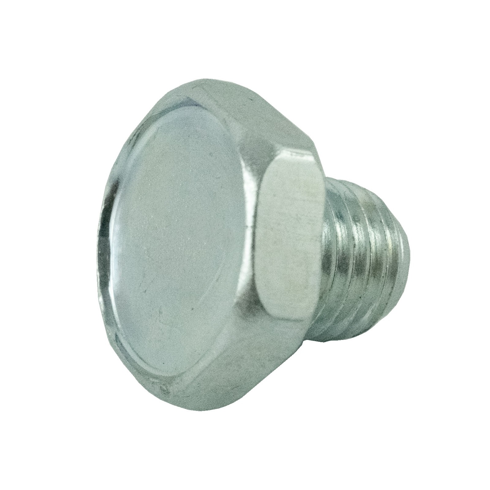 Screw M10 x 1.5 / LS MT1.25 / LS XJ25 / TRG400 / 40206416