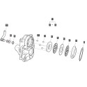 Junta tórica 23,70 x 3,50 mm / LS MT1.25 / LS XJ25 / S801024010 / 40029210