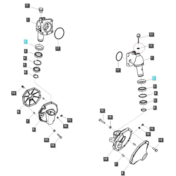 Junta tórica / LS XJ 25 / LS MT1.25 / LS MT3.35 / LS MT3.40 / LS MT3.50 / LS MT3.60 / S801018010 / n.º 40029206