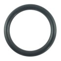 Joint torique 24,70 x 3,50 mm Tracteur LS MT3.35 / LS MT3.40 / LS MT3.50 / LS MT3.60 / S801025010 / 40029211
