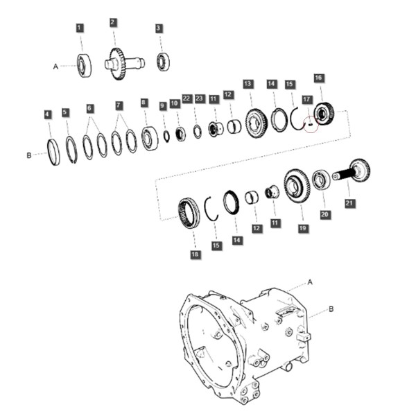 Llave del piñón de accionamiento 16,90 x 4,75 x 3,45 mm LS Tractor / LS MT3.50 / TRG281 / A1281399 / 40009844