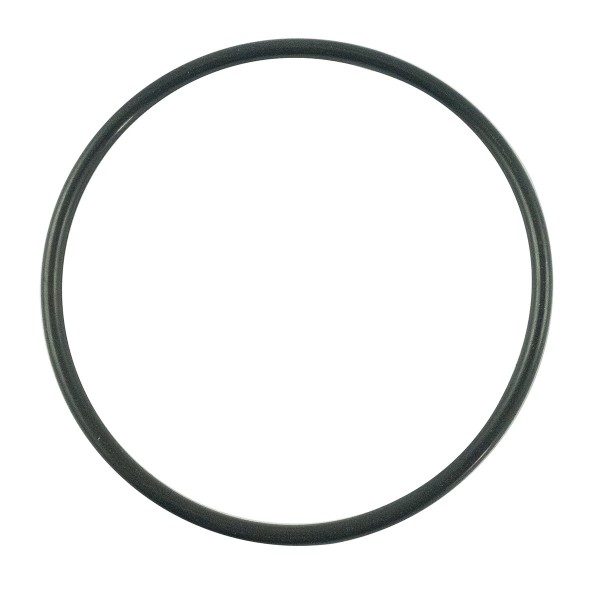 O-ring 69.40 x 3.10 / LS MT3.35 / LS MT3.40 / S802070010 / 40029227 | Traktor.com.pl