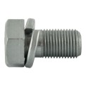 Vis M16 x 1,5 x 30 mm / LS XJ25 / LS MT3.35 / LS MT3.40 / LS MT3.50 / LS MT3.60 / S154163037 / 40404842