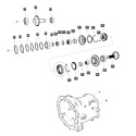 Polea / 42T / LS MT3.50 / LS MT3.60 / TRG281 / A1281396 / n.° 40009053