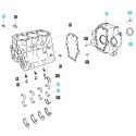 Śruba M10 x 1.25 x 35 mm / LS MT3.35 / LS MT3.40 / LS MT3.50 / LS MT3.60 / EGQ155 / 40350302 | Traktor.com.pl