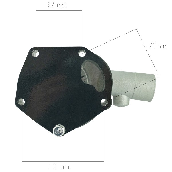 Bomba de agua - LS Tractor LS R41 / LS R50 / LS R65 / LS U43 / LS XR45