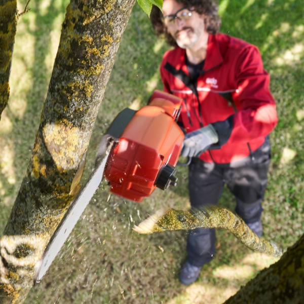 Okrzesywarka Multitool do urządzenia 130 MT AL-KO | Traktor.com.pl