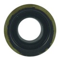 Mastic / Kubota