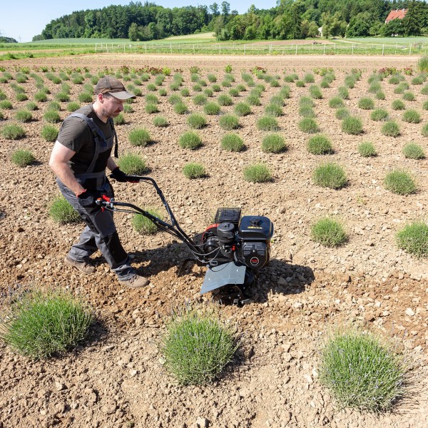 Glebogryzarka AL-KO MH 540 Comfort | Traktor.com.pl