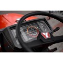 Yanmar F165D 4x4 16 PS