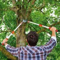 POWER CUT RS 900 T anvil pruning shears Wolf Garten