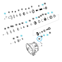 Ozubené kolo / DRVN-TRG281 / LS Traktor 40009061