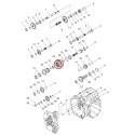 Embrague del eje de la toma de fuerza / TRG287 / Tractor LS / N.° 40437161