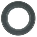 Versiegelung, 45 x 70 x 10, 45 x 70 x 10, 3703282M1, 1560-434-012-20, 1560-434-012-30, AQ3119E, BQ3119E, ANT-101288, Iseki TA207