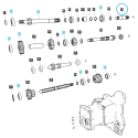 PTO/PTO transmission connecting shaft / TRG287 / Ls Tractor 40309886