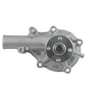 Bomba de agua, Jinma 164Y, Changchai 3M78, 3M78-081000