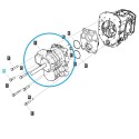 Caja de cambios HST / TRG270 / Tipo 42.4CC / Tractor LS / 40463057