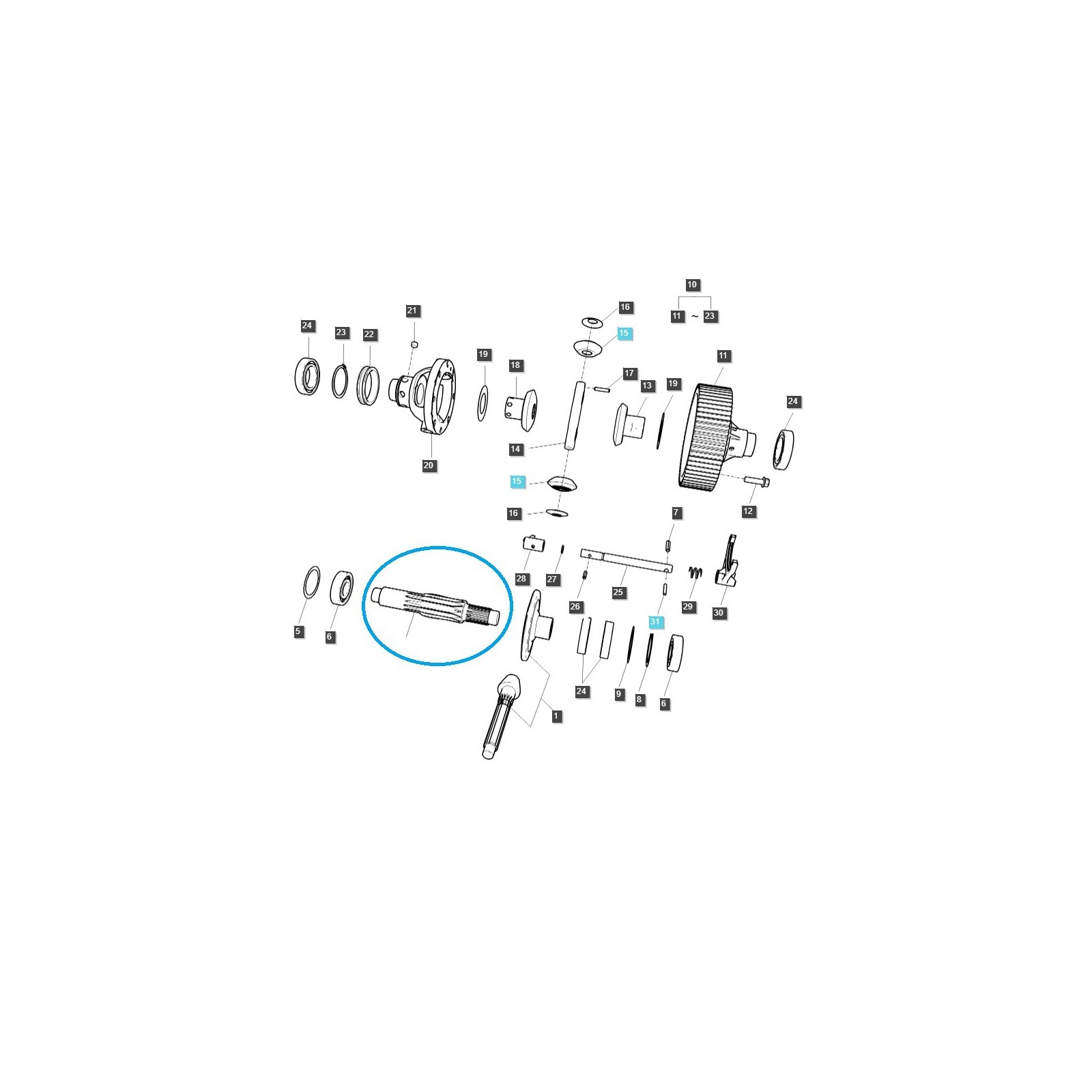 Eje de transmisión - diferencial 12T TRG310 / LS Tractor / 40301919