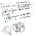 Zahnrad, Zahnstange / TRG281 / LS Traktor / 40292099