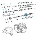 Getrieberitzel M/DRVN 2 / TRG281 / LS Traktor / 40292097