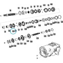 Ozubené koleso prevodovky M/DRV 1ST / TRG281 / LS Tractor / 40262759