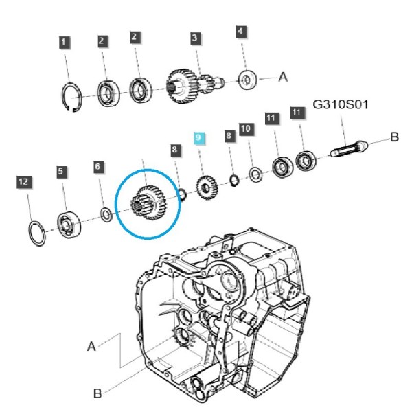 Gearbox sprocket DRVN (H_L) TRG285 / LS Tractor / 40292205
