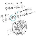 Pignon de boîte de vitesses DRVN (H_L) TRG285 / LS Tracteur / 40292205