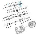 Zębatka napędu DRV 2 / TRG285 / LS Tractor / 40009287 | Traktor.com.pl