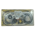 Tesnenia motora, SBA111147520, N844, N844T, 404D-22TA, 104-19