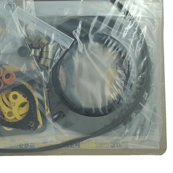 Tesnenia motora, SBA111147520, N844, N844T, 404D-22TA, 104-19