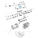 Wałek napędu TRG288/ LS Tractor / 40031410 | Traktor.com.pl