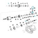 O-krúžok / 10 x 1,70 mm / LS Tractor / S804010010 / č. 40029239