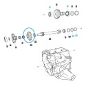 Piñón 28T PTO/PTO / TRG287 / LS Tractor 40337026