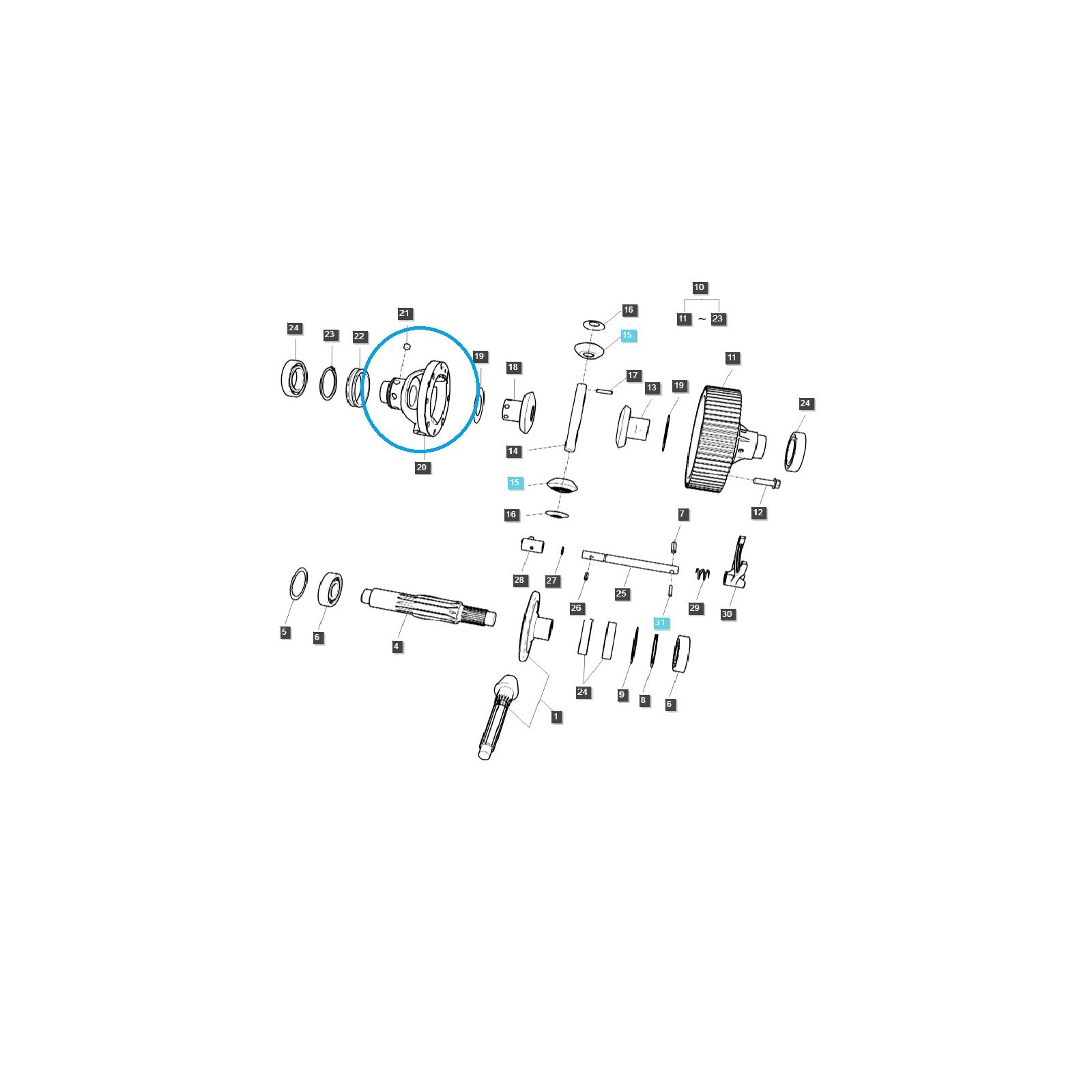 Differentialgehäuse (Differential) / TRG310 / LS Traktor / 40196998