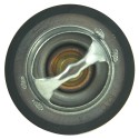 Thermostat, 82°C, 404C-22, 404D-22, Caterpillar 3024C, Shibaura N844L