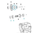Pierścień segera  / S81040001 / LS Tractor 40056835 | Traktor.com.pl