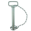 Sworzeń z uchwytem, 19 x 110 mm, 19x110 mm,, Sworzeń  TUZ