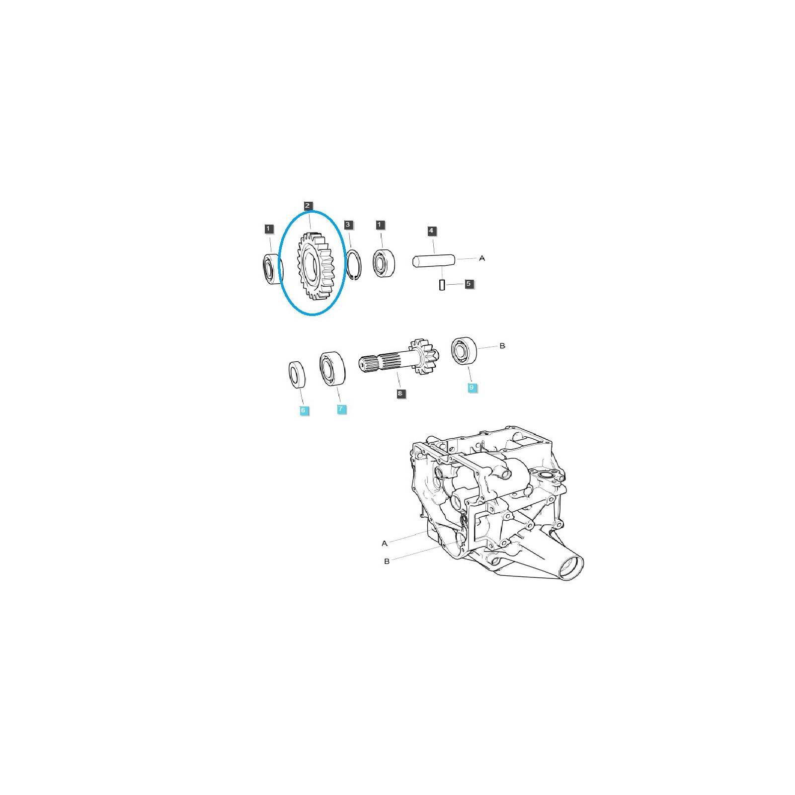 Pignon de ralenti (24 dents) / TRG287 / Tracteur LS / 40337017
