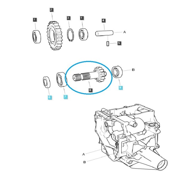 Wałek M/PTO z przekładnią (14T) TRG287 / LS Tractor / 40337021 | Traktor.com.pl