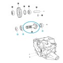 Wałek M/PTO z przekładnią (14T) TRG287 / LS Tractor / 40337021 | Traktor.com.pl