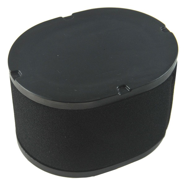 Air filter, 180100109-0001, SA 120006, AL-KO Pro 700 V2, Loncin, LC2P77F, LC2P80F, LC2P82F