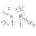 Piñón, 11T, 22T, Iseki, TM3185, TM3187, 1776-434-003-00