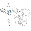 Łożysko kulkowe / A0869020/ LS Tractor 40341814 | Traktor.com.pl